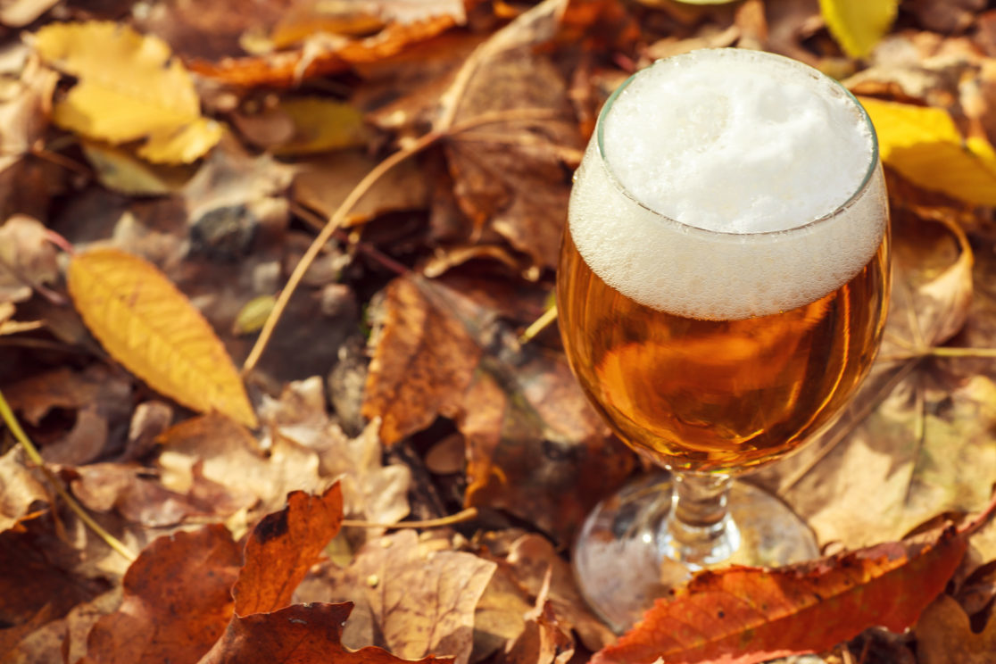 Best Fall Beers from Our Industry Experts