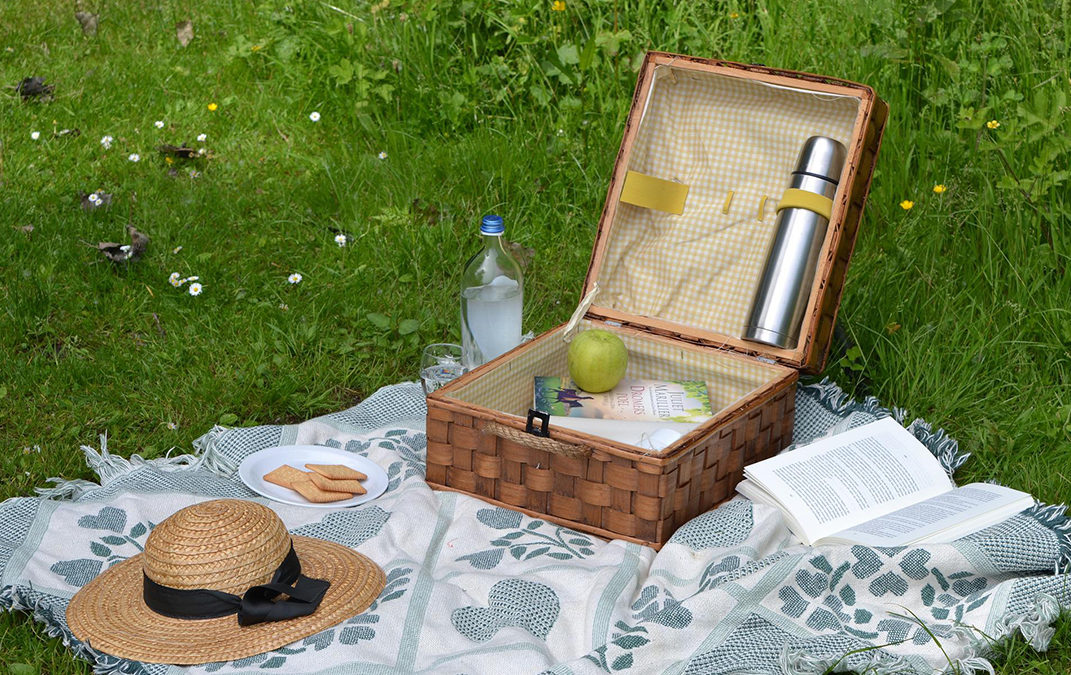 Planning a Perfect Picnic