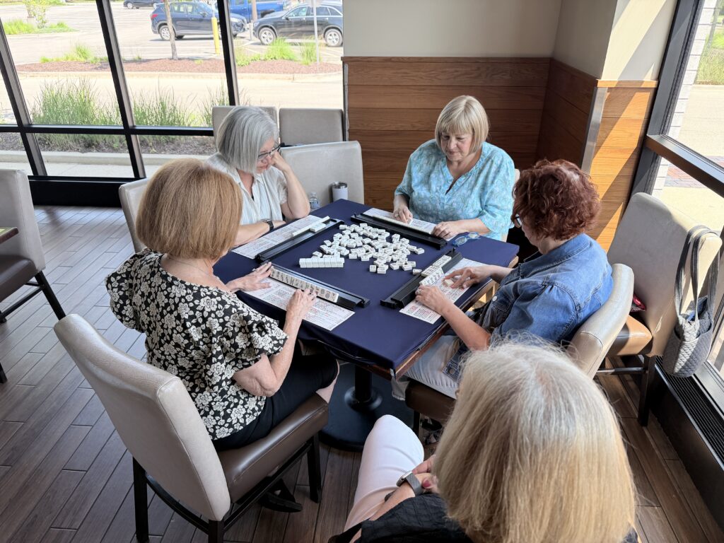 Mahjong Wanderers Playing